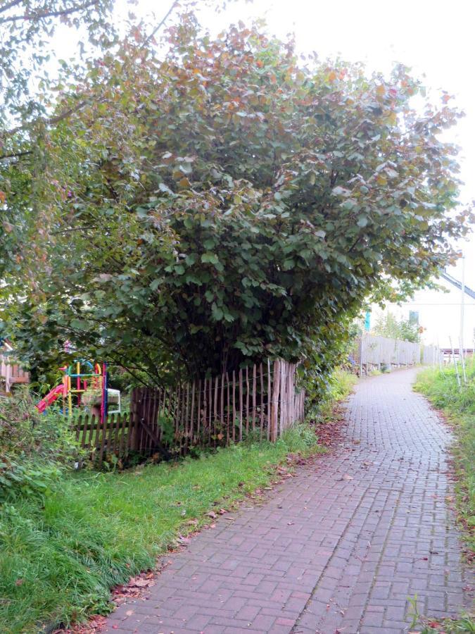 Gemütliche Fachwerkwohnung Alfter Exterior foto